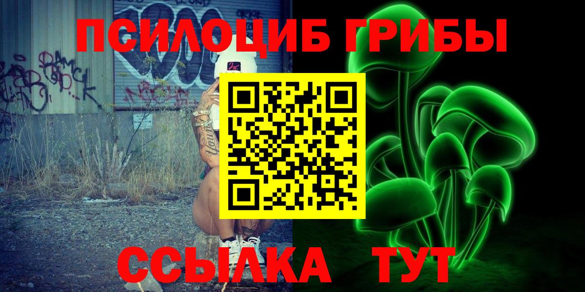 Псилоцибиновые грибы GOLDEN TEACHER Заводоуковск