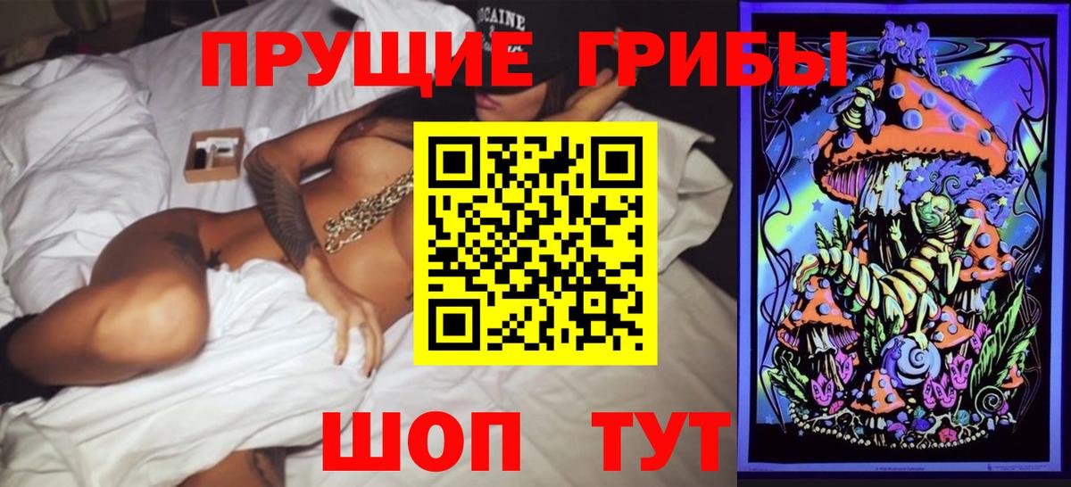 Псилоцибиновые грибы прущие грибы  Вход с VPN  хочу наркоту  Заводоуковск 